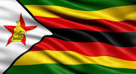 Official Flag of Zimbabwe